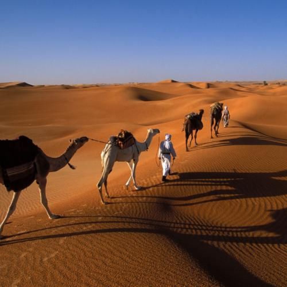 Dromedary trek in Timinoun area
